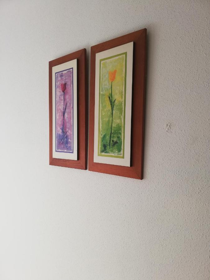 Apartamento Naturista En Primera Linea En Natura World! Vera Luaran gambar
