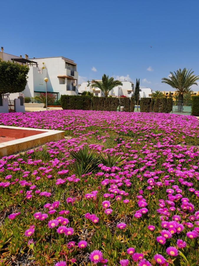 Apartamento Naturista En Primera Linea En Natura World! Vera Luaran gambar